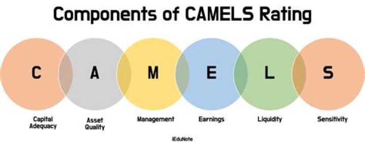 Are Camels ratings confidential?