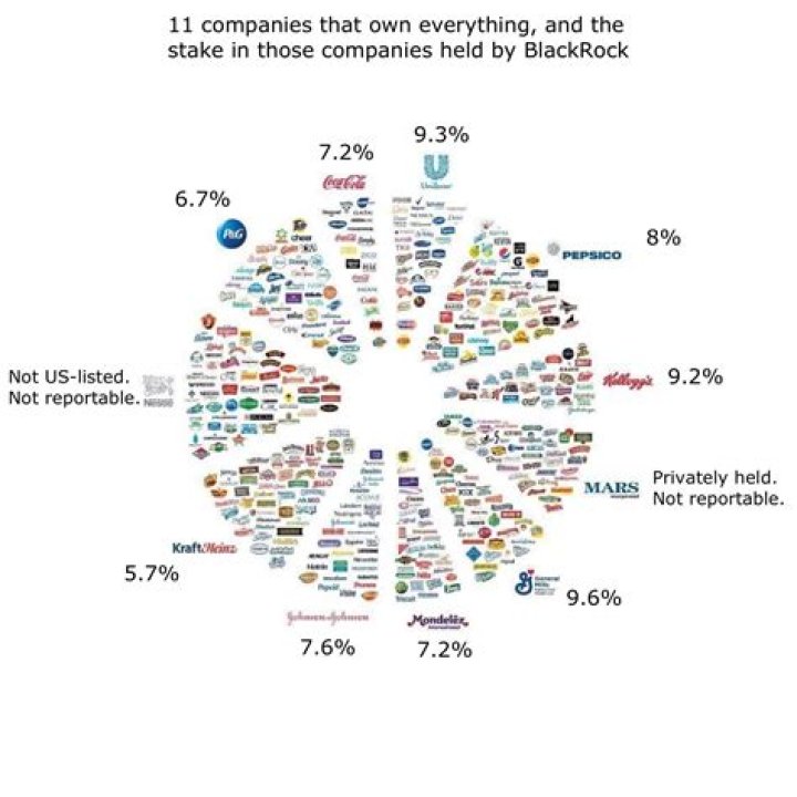 Are corporations owned by multiple people?