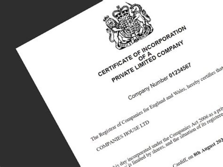 Are Delaware certificates of incorporation public?