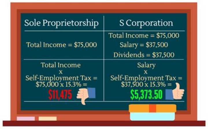 Are you a sole proprietor if you have an S corp?