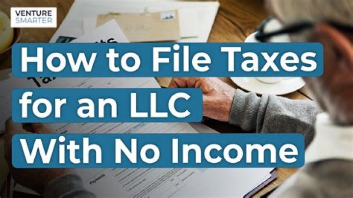 Can a 17 year old file taxes with no income?