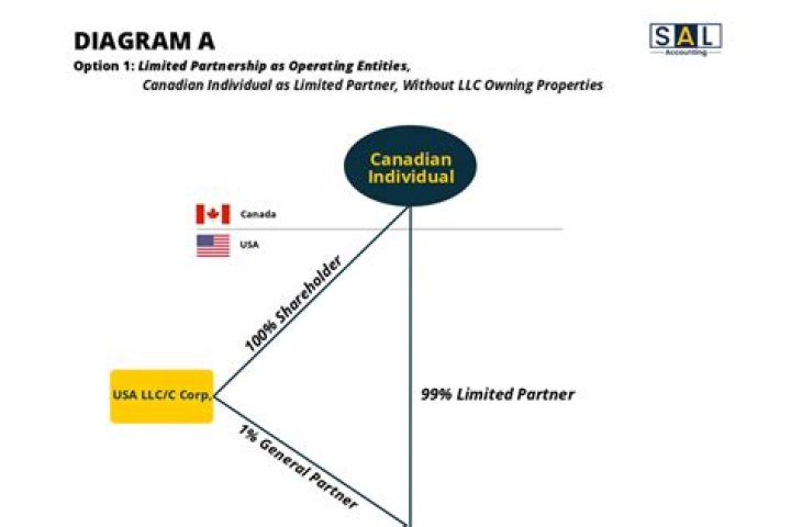 Can a Canadian company own a US LLC?
