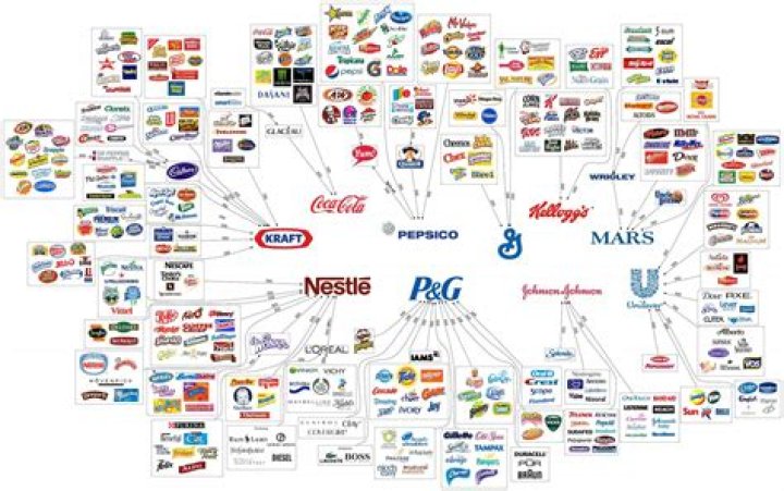 Can a company be a subsidiary of two companies?