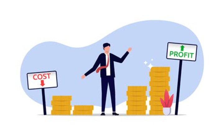 Can a company be profitable without cash?