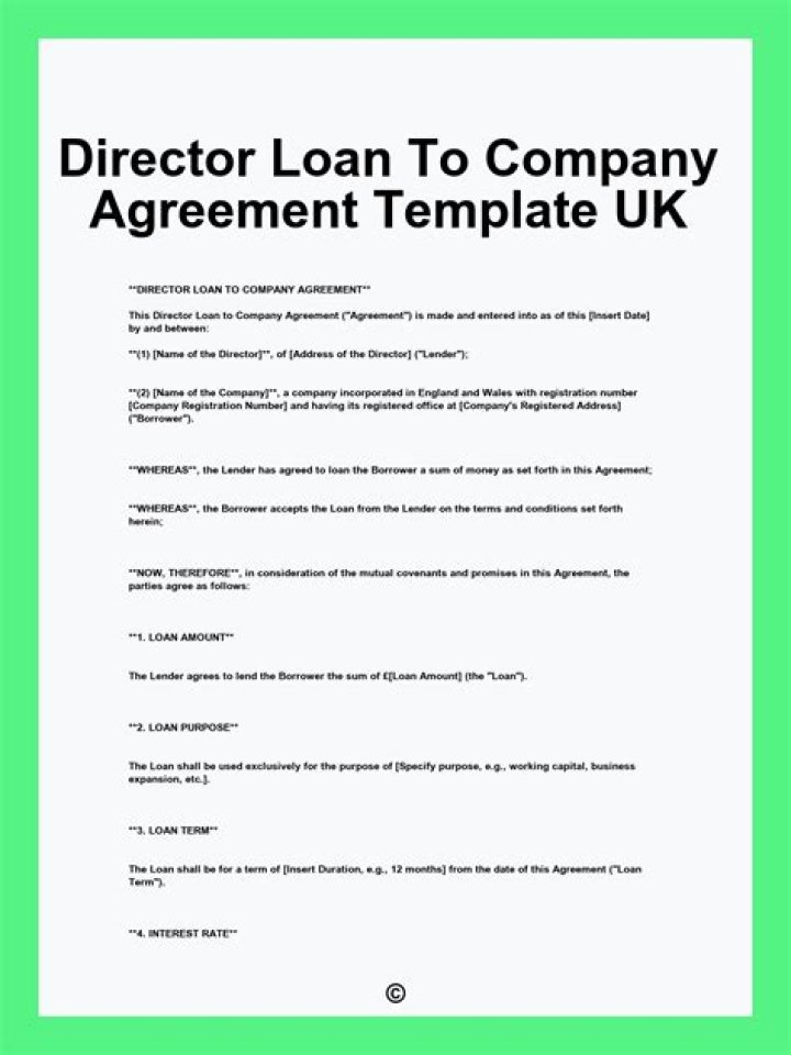 Can a company borrow loan from director?