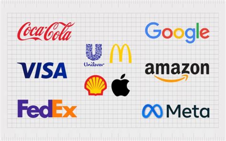 Can a corporation be 100% owned?