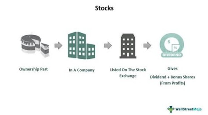 Can a corporation hold stocks?