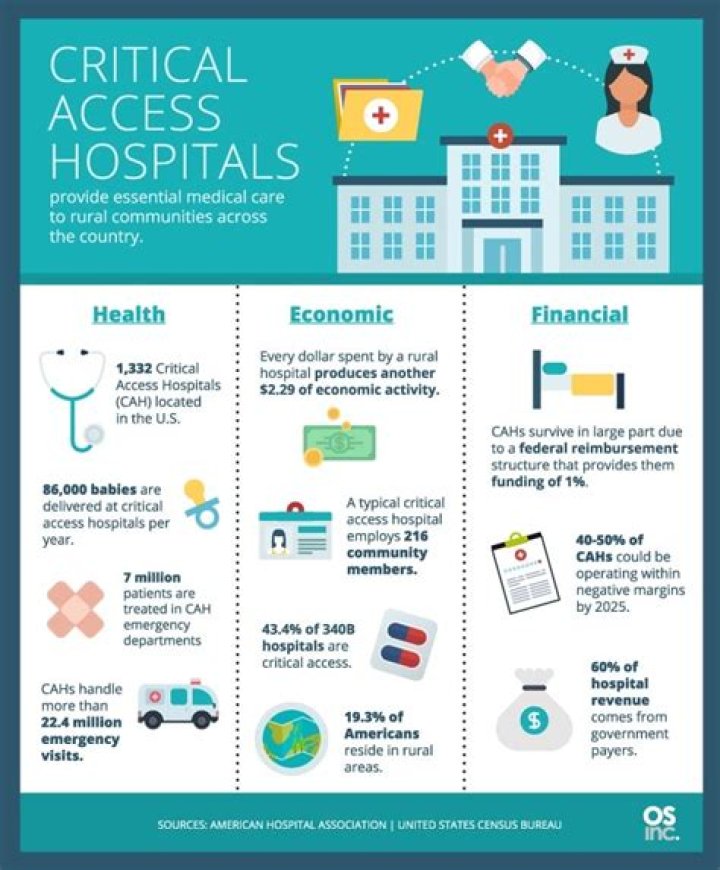 Can a critical access hospital be for profit?