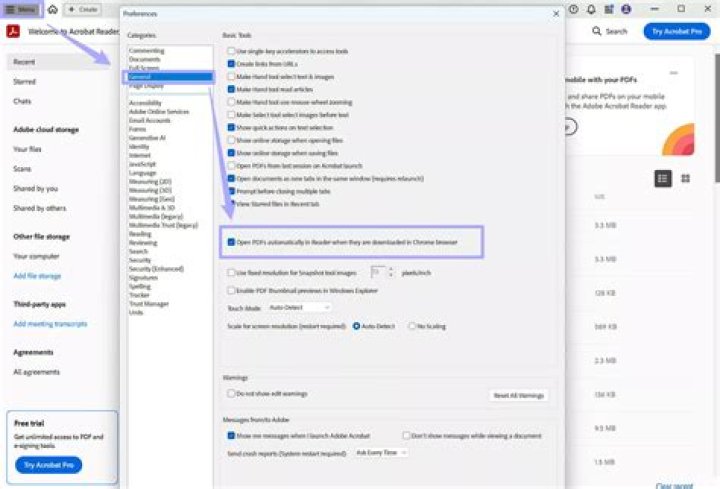 Can a downloaded PDF be printed?