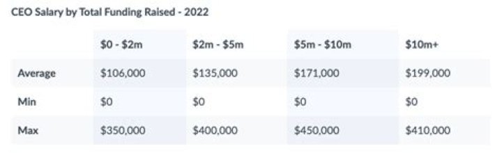 Can a founder of a non profit be the CEO?