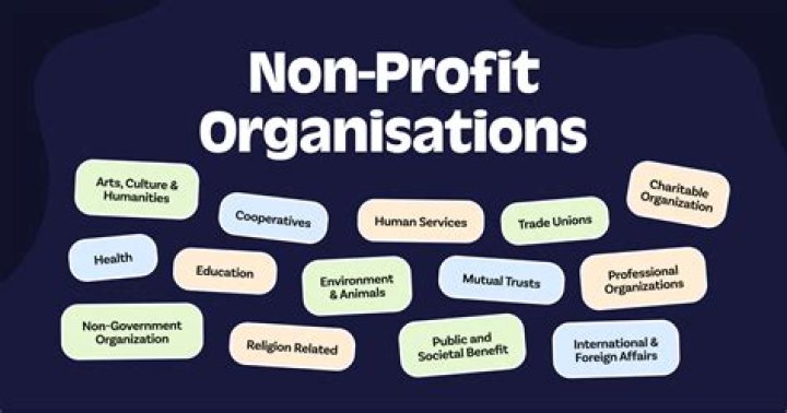 Can a non-profit organization have a subsidiary?
