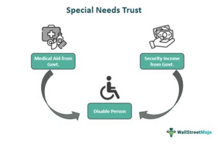 Can a special needs trust be garnished?