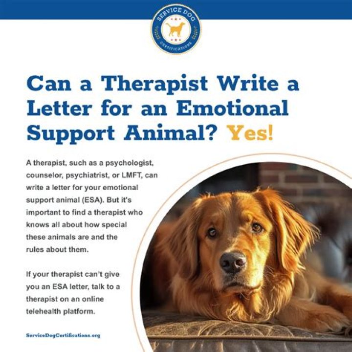 Can a therapist write a letter for a psychiatric service dog?