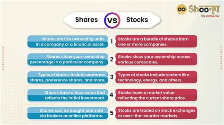 Can an entity own shares in an S Corp?