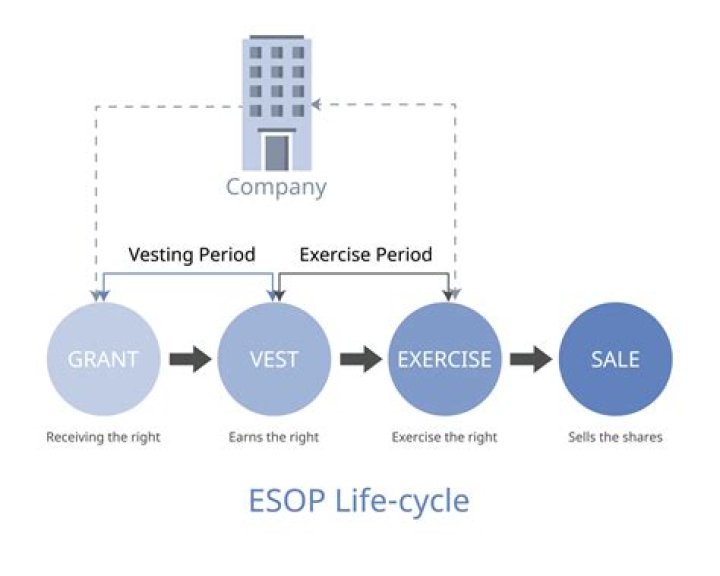 Can an ESOP own a company?