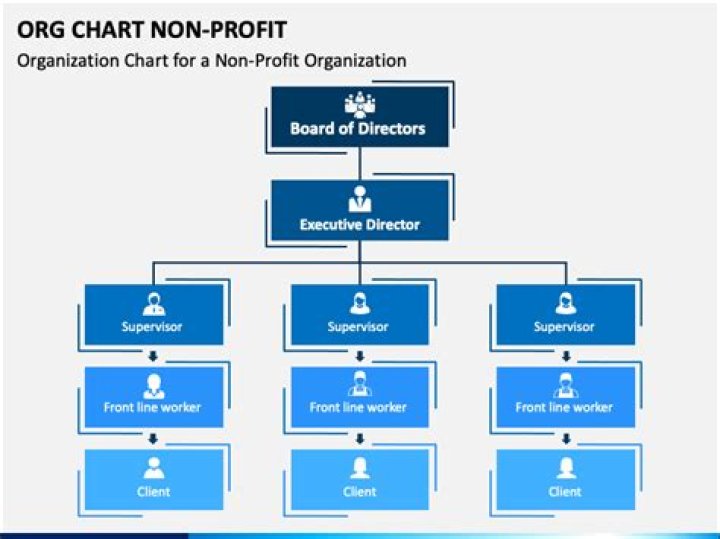 Can an individual own a nonprofit organization?