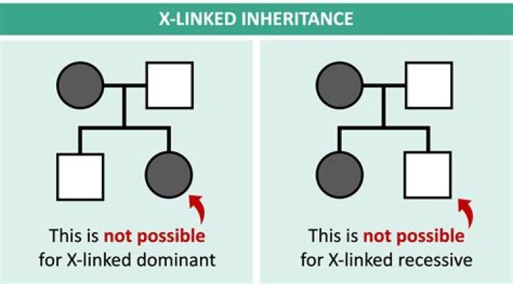 Can an inheritance skip a generation?