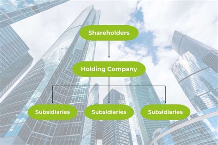 Can an LLC have a corporate subsidiary?