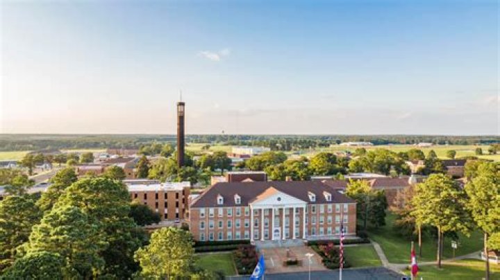 Can an LLC own a medical practice?