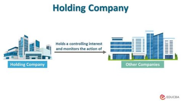 Can an operating company be a holding company?