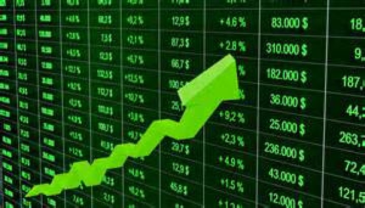 Can businesses purchase stocks?