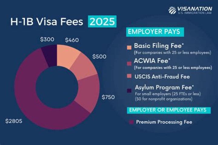 Can H1B pay premium processing fees?