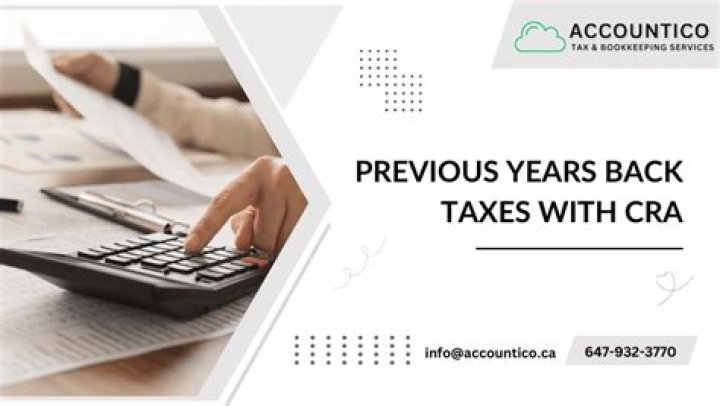 Can I check previous years tax returns?