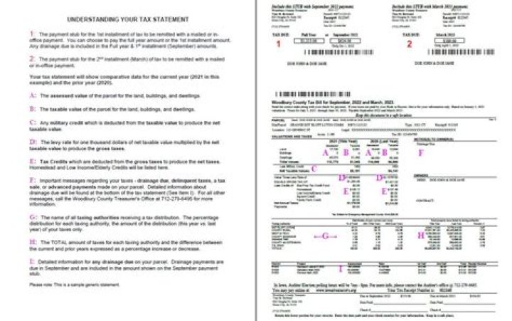 Can I defer my back tax payment?