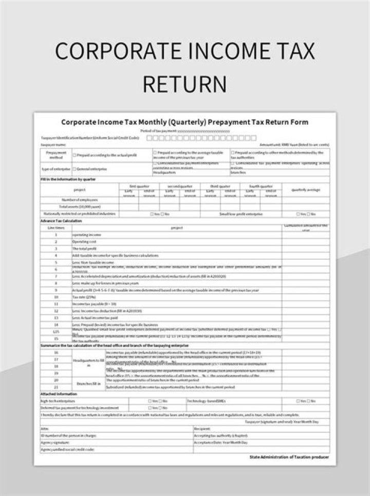 Can I Efile my corporate tax return?