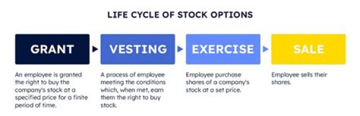 Can I exercise my stock options anytime?
