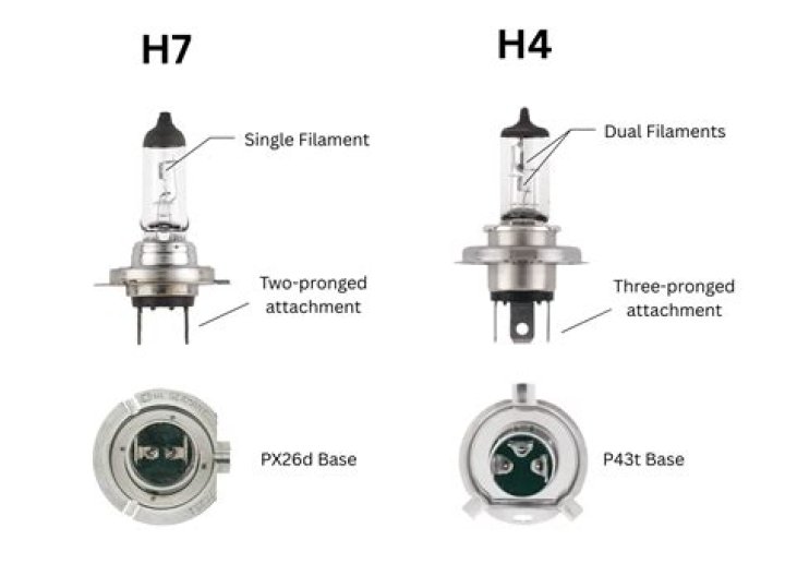 Can I hold both H1 and H4?