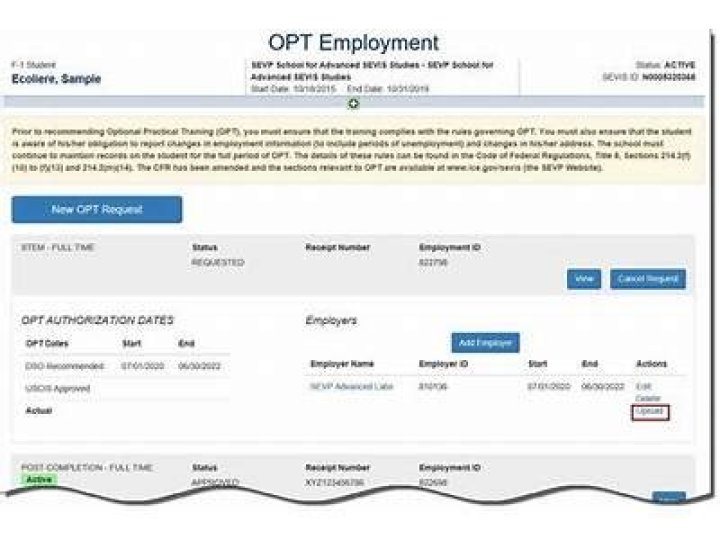 Can I work for any employer on OPT?