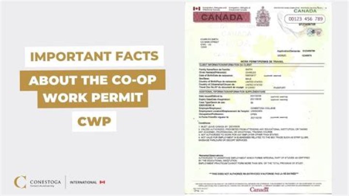 Can I work in France without a work permit?