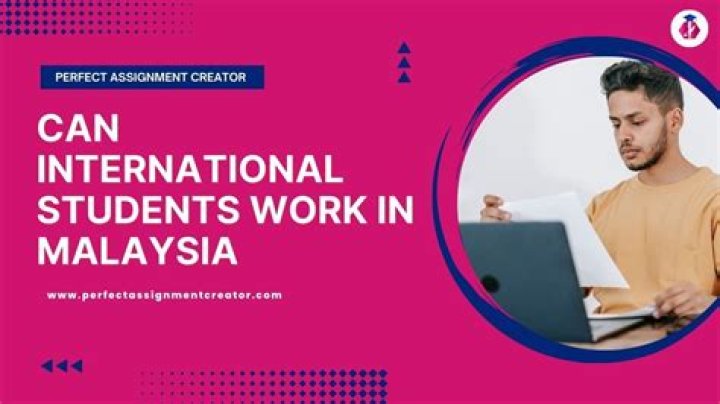 Can international students work now?