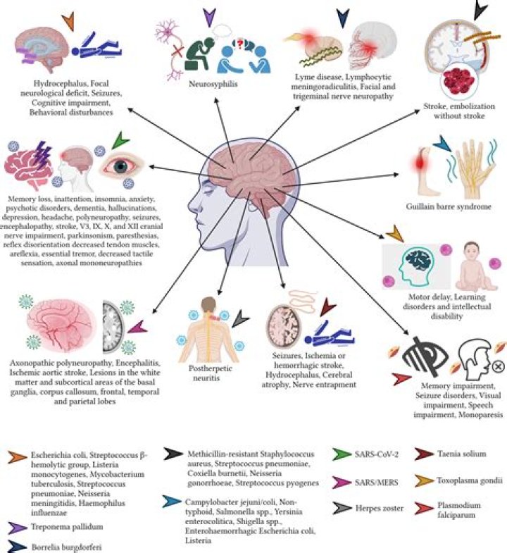Can Lyme disease cause neurological problems?
