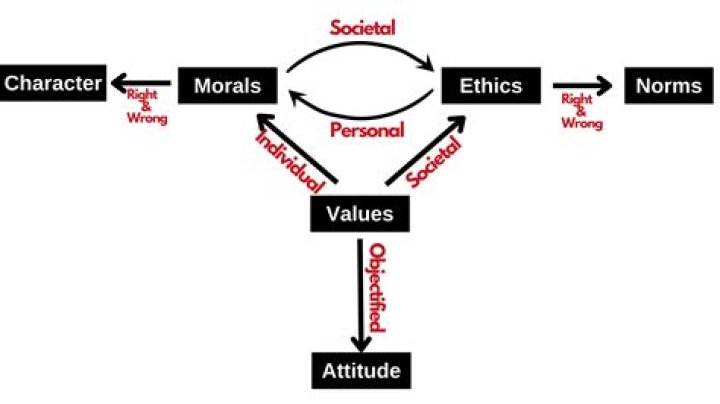 Can moral Judgement be true or false?