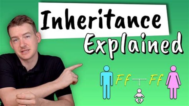Can my child inherit my 401k?