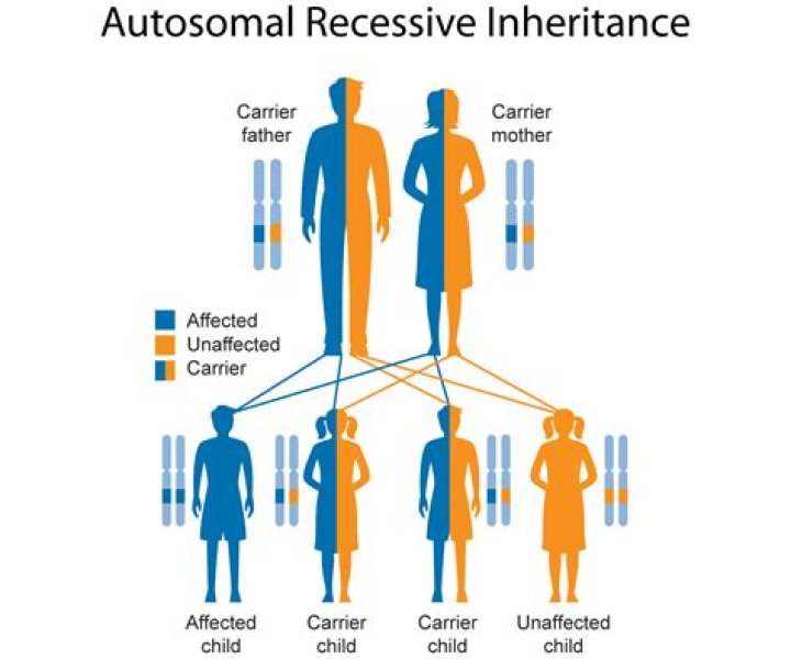 Can my children inherit my Roth?
