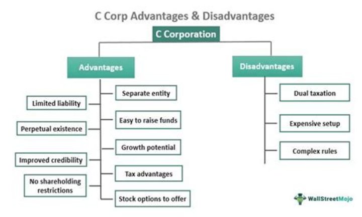 Can S Corp change to C Corp?