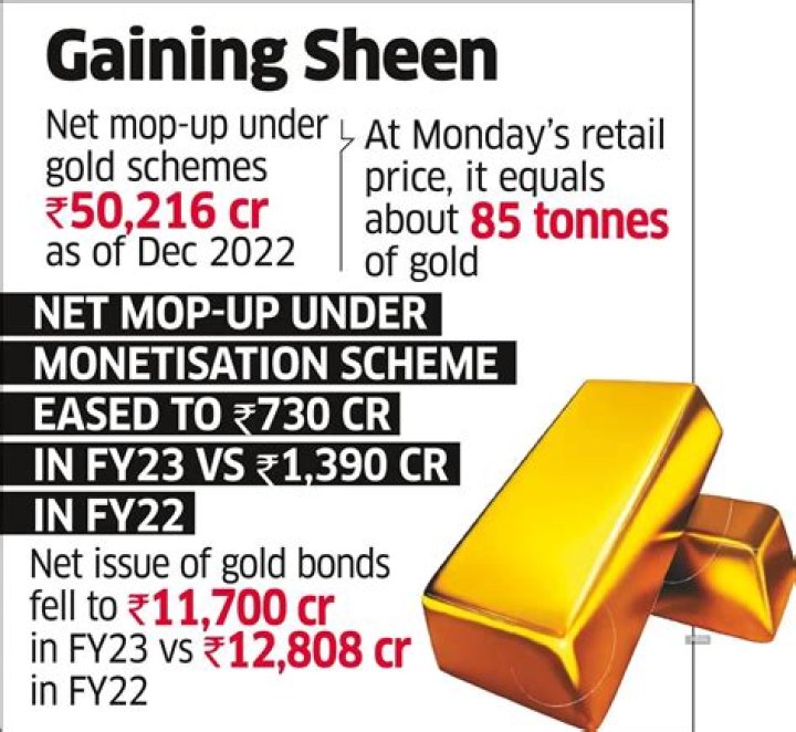 Can we show gold purchase in ITR?