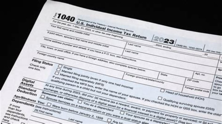 Can you do a mock tax return?