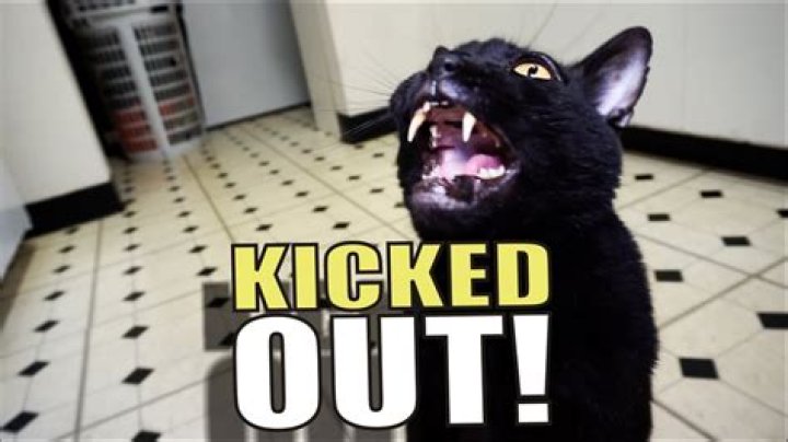 Can you get kicked out for having a pet?