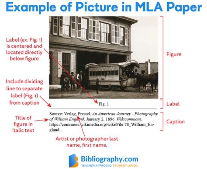 Can you include pictures in a report?