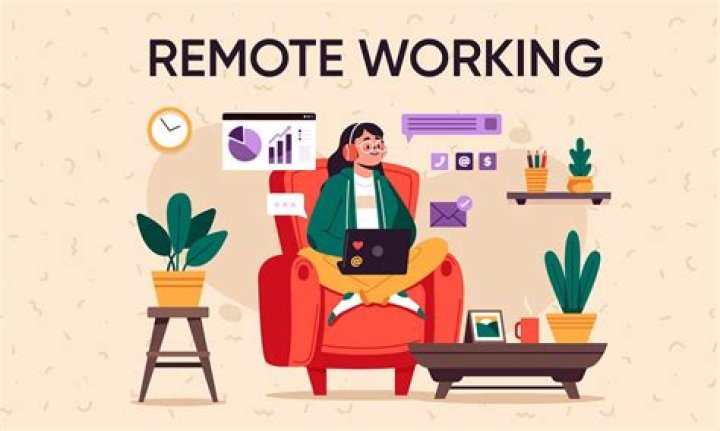 Can you work as a programmer remotely?