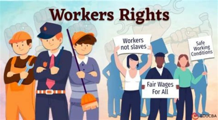 Do contract workers have any rights?