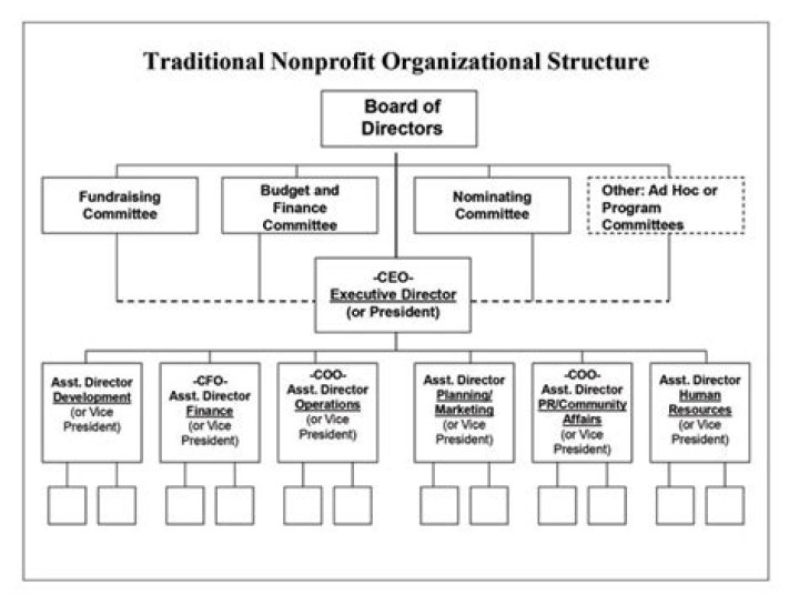 Do for profit companies have board of directors?