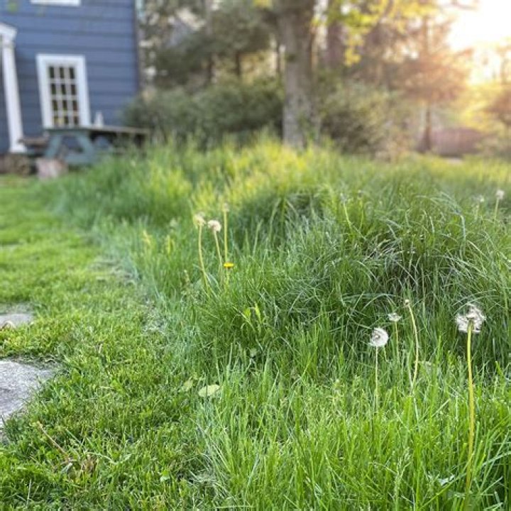 Do I have to pay US taxes if I live in Sweden?