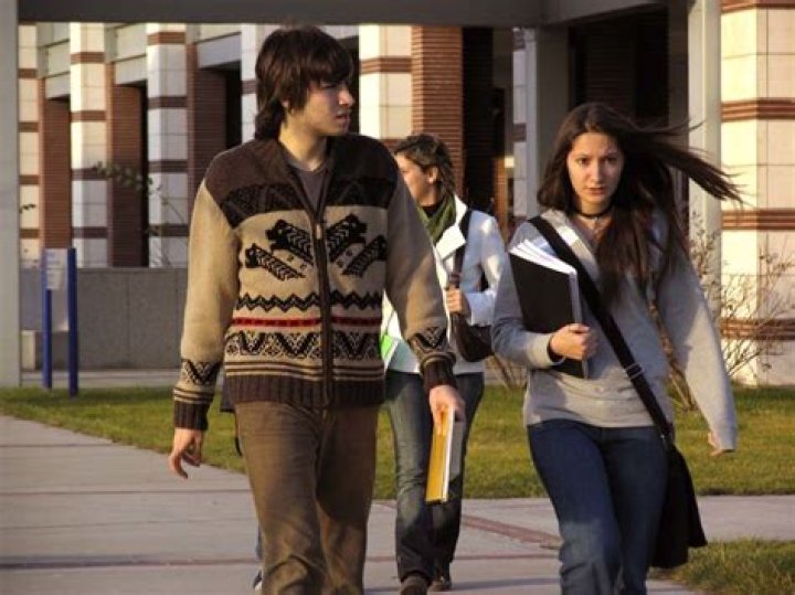 Do international students stay after graduation?