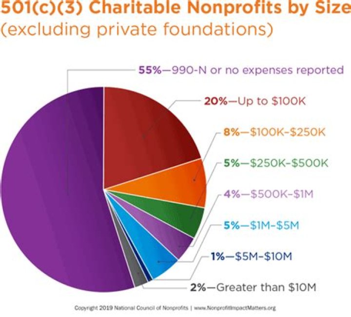 Do non profits file a 10k?