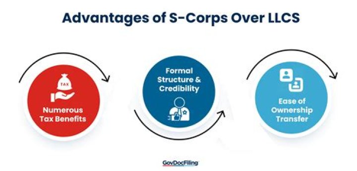 Do S Corp LLCs get a 1099?
